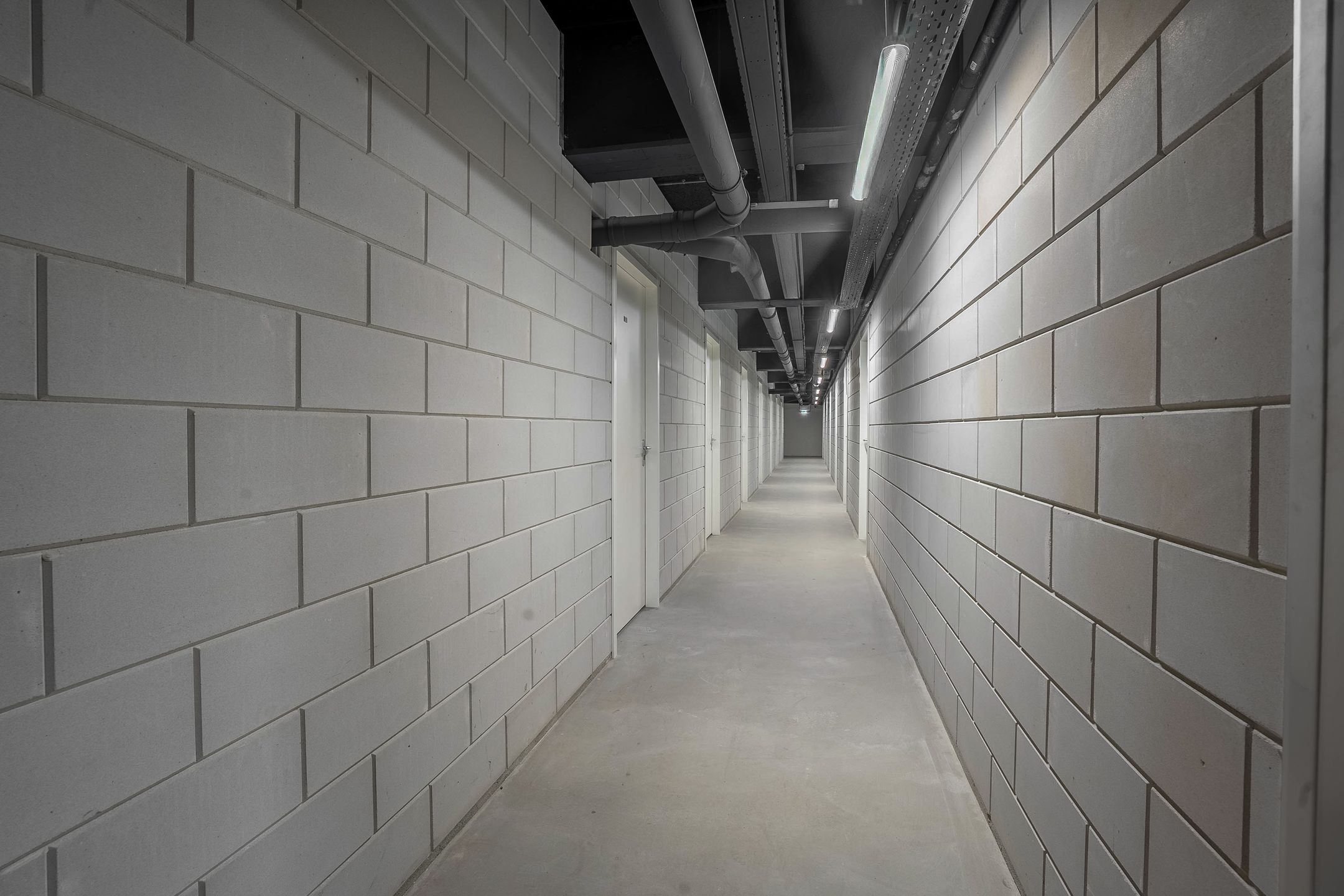 Photo 6 of Koningin Wilhelminalaan