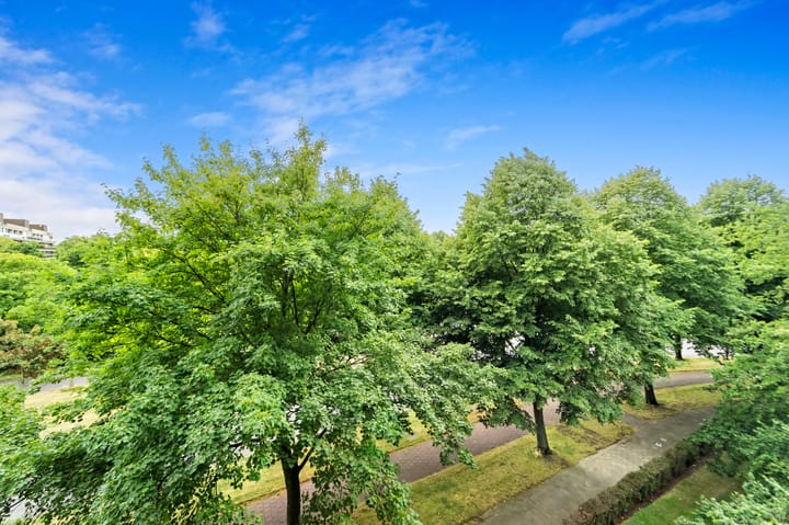 Foto 18 van Thomas Jeffersonlaan 489