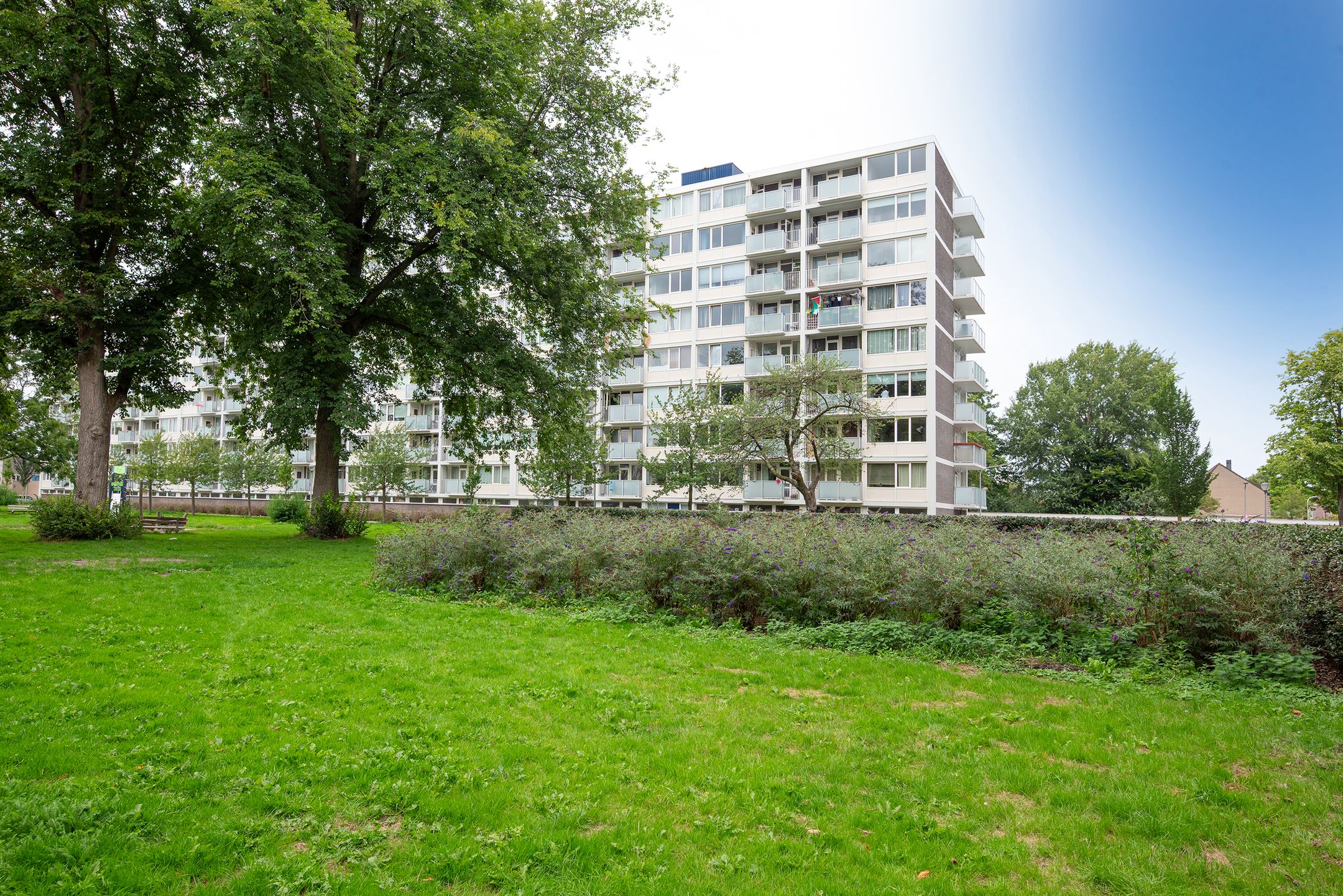 Schotlandstraat, 110, Haarlem, 2034LE, Noord-Holland, Nederland 110 