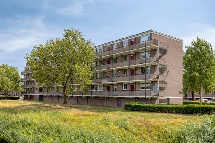 Foto 4 van Maassingel 172