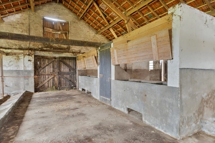 Foto 10 van Weg naar het Ganzen Ei 10