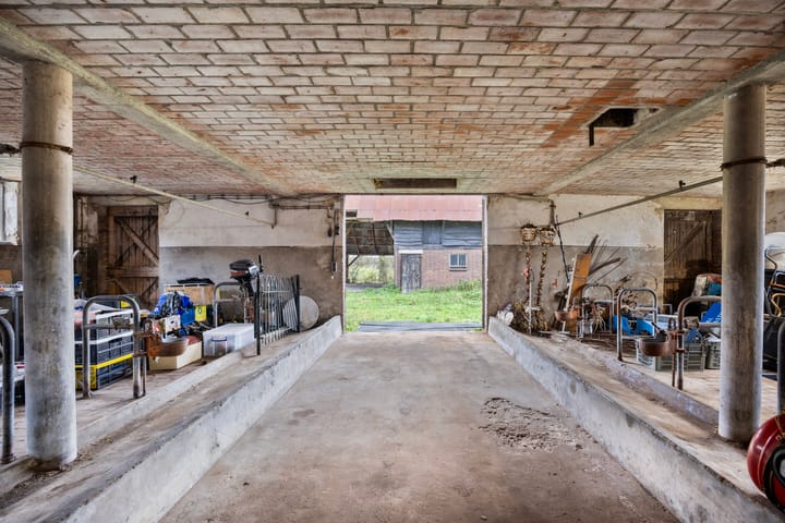 Foto 11 van Weg naar het Ganzen Ei 10