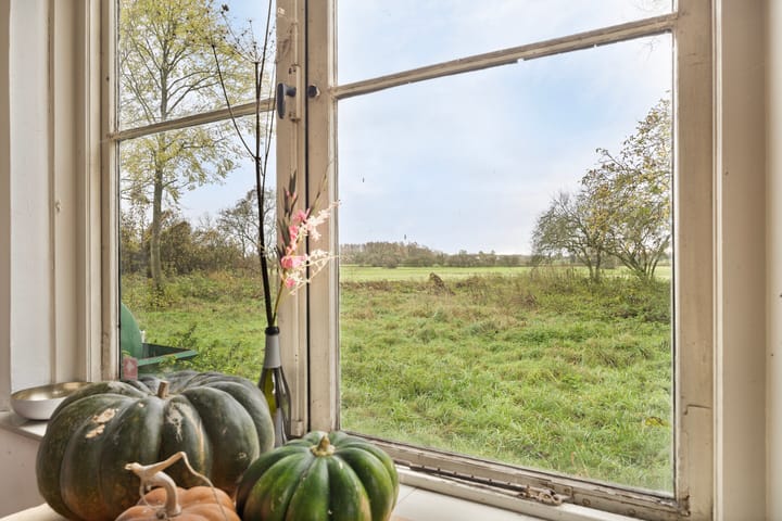 Foto 26 van Weg naar het Ganzen Ei 10