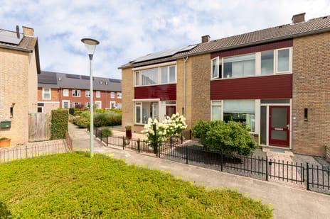 undefined main image