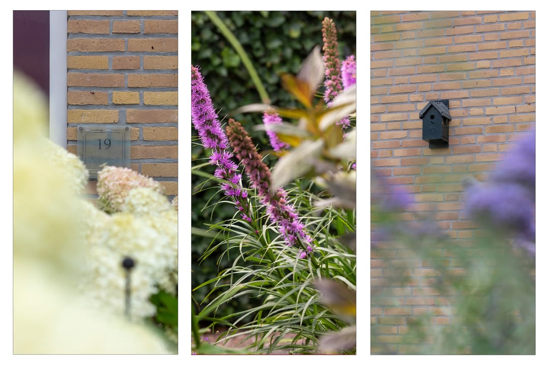 Photo 7 of Meergraaf 19