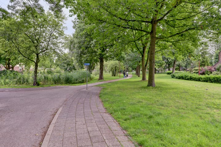 Foto 43 van Aidalaan 25