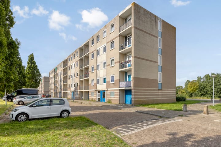Schaepmanstraat 93