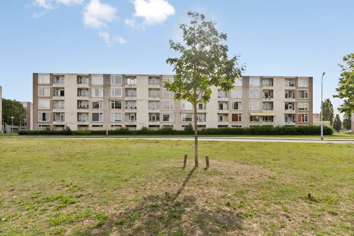 Foto 2 van Schaepmanstraat 93