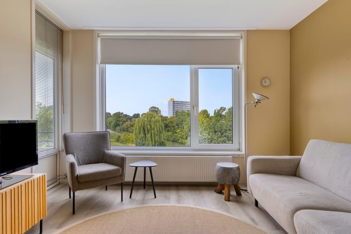 Foto 5 van Schaepmanstraat 93