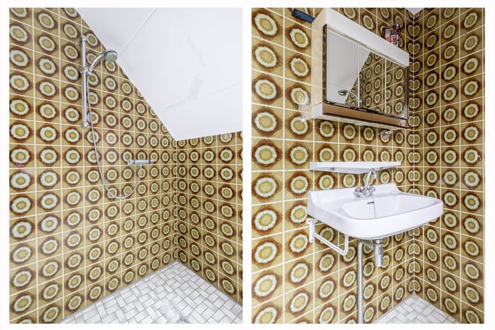 Foto 27 van Vijverlaan 9