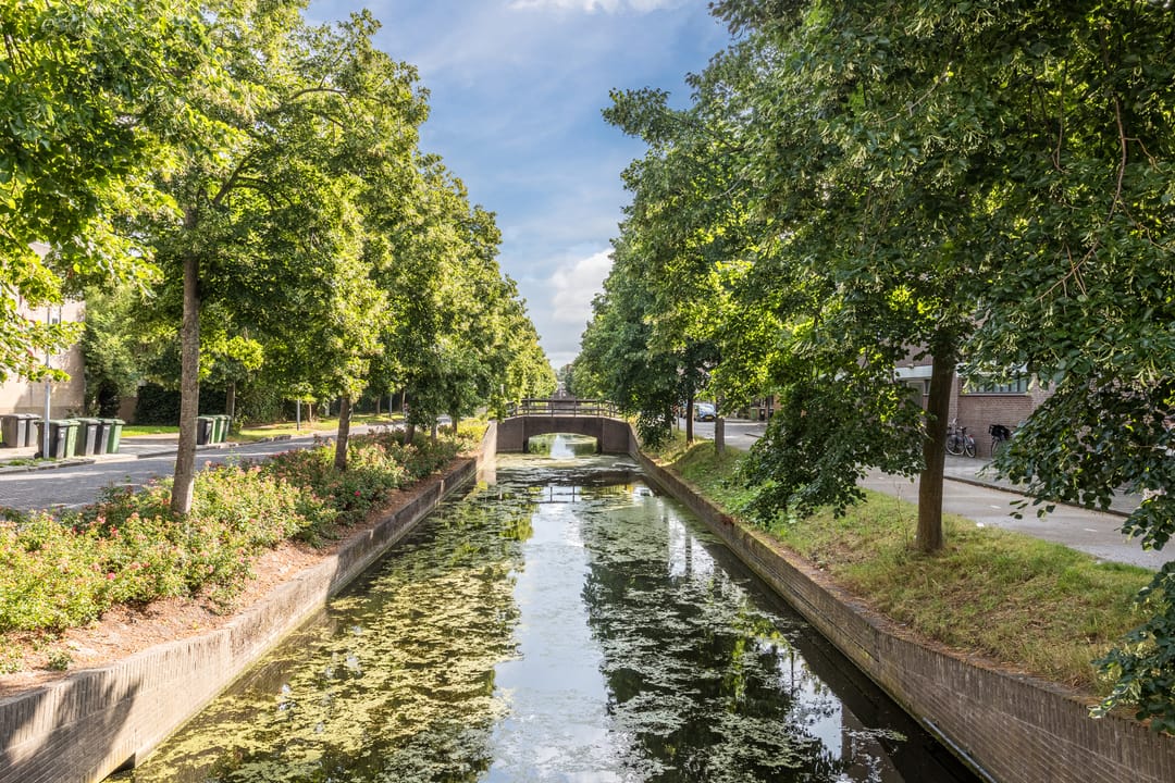 Photo 26 of Radboudgracht 8