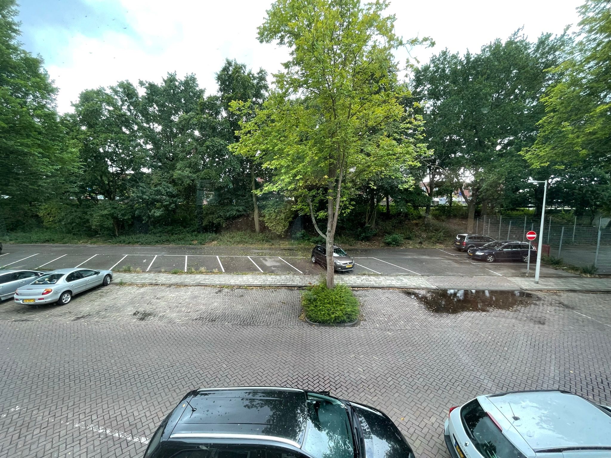 Foto 3 van Mosveld 58