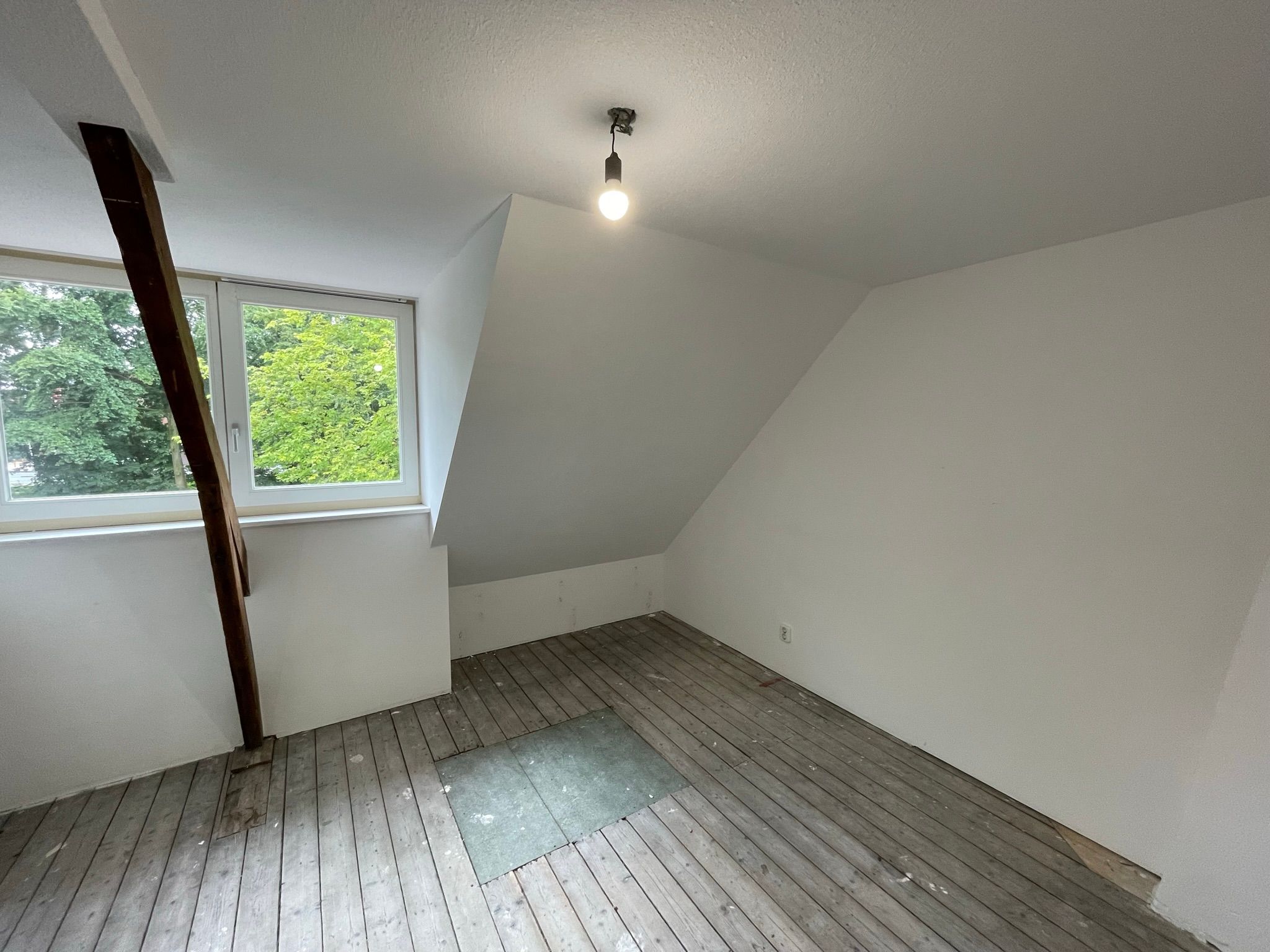 Foto 12 van Mosveld 58