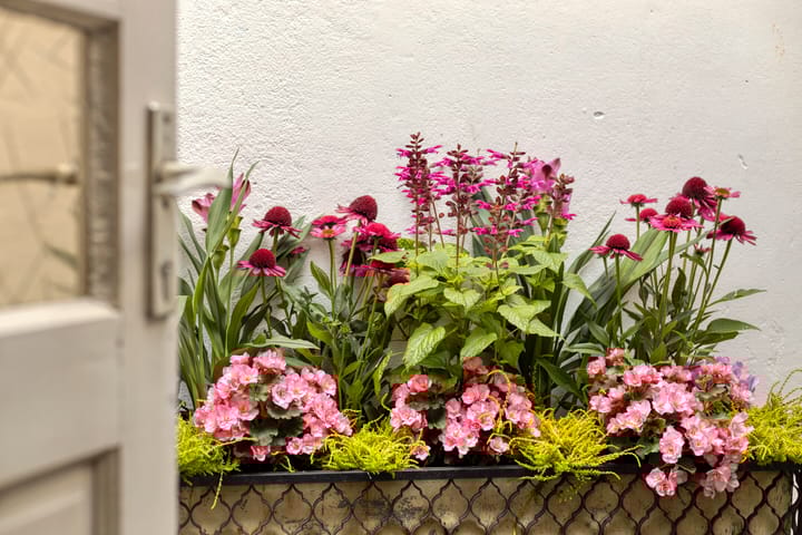 Foto 23 van Breitnerstraat 43