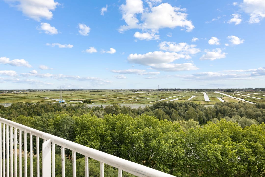 Foto 26 van Pharus 292