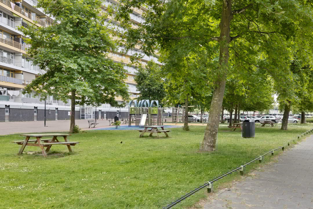 Foto 28 van Pharus 292