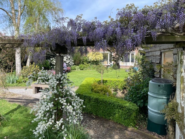 Photo 74 of Valkenburgstraat 19