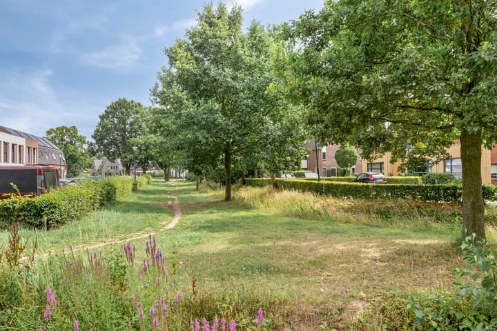 Foto 42 van Beukendreef 5