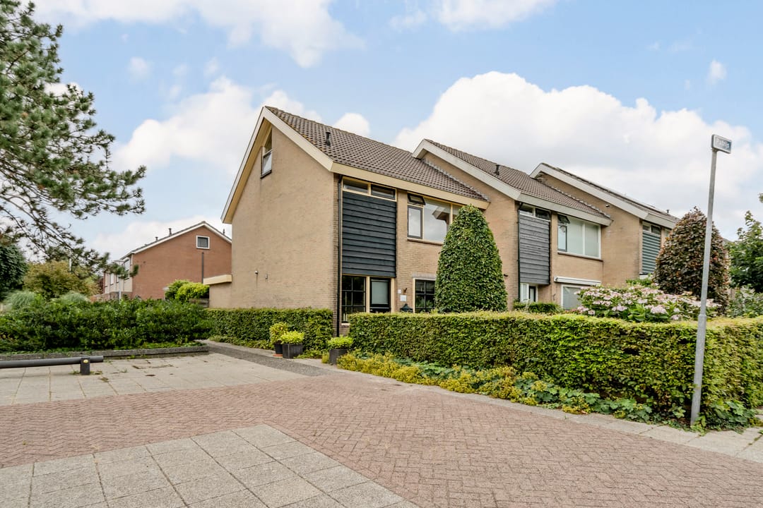 Foto 1 van Patrijs 1