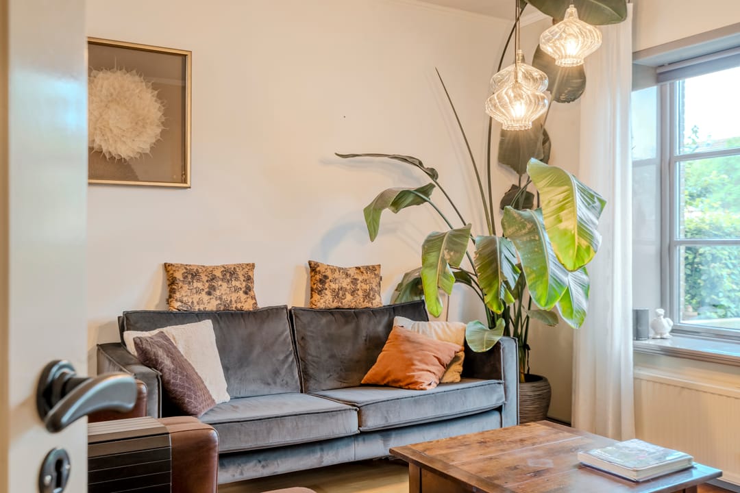 Foto 2 van Patrijs 1