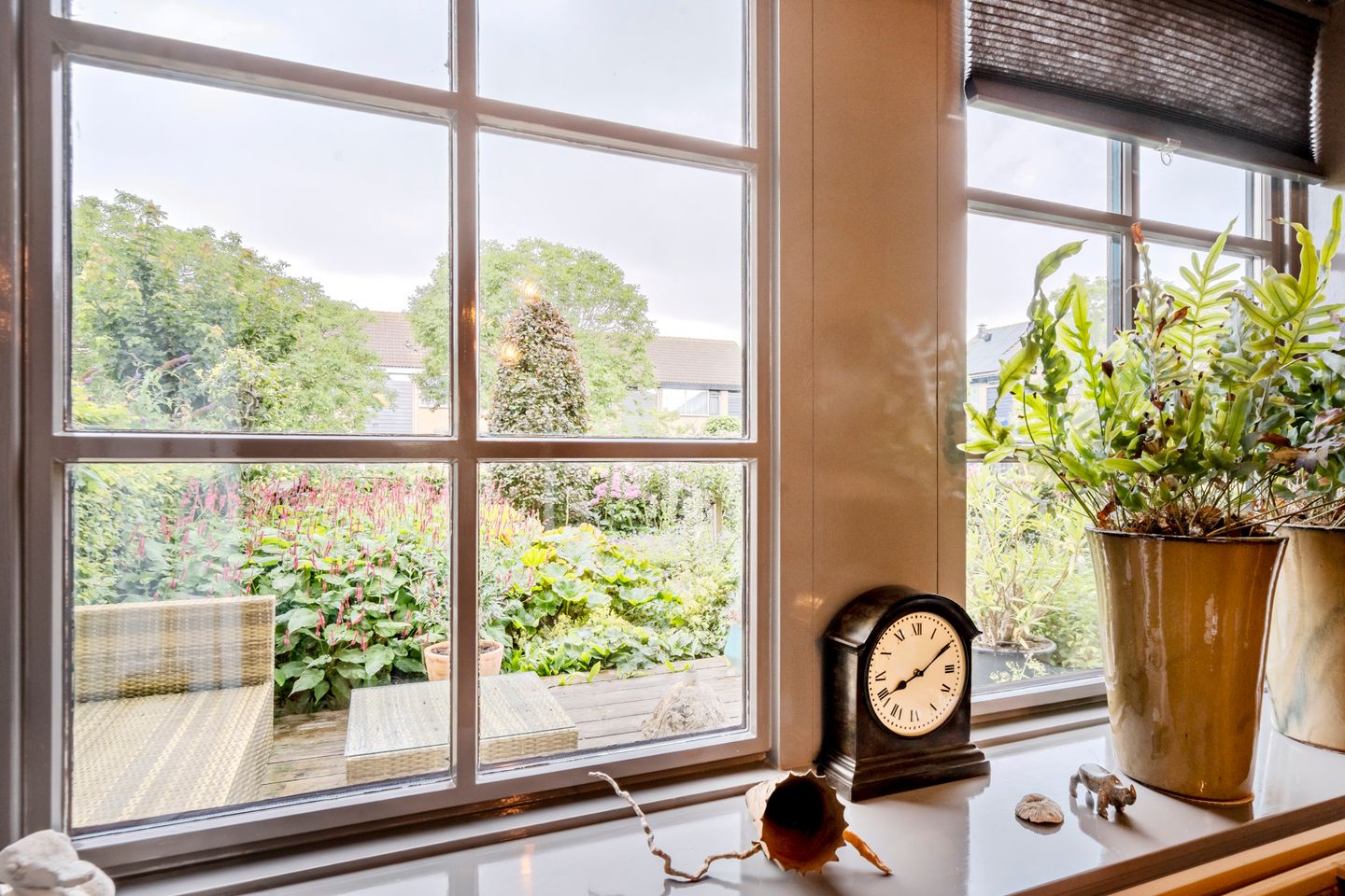 Foto 5 van Patrijs 1