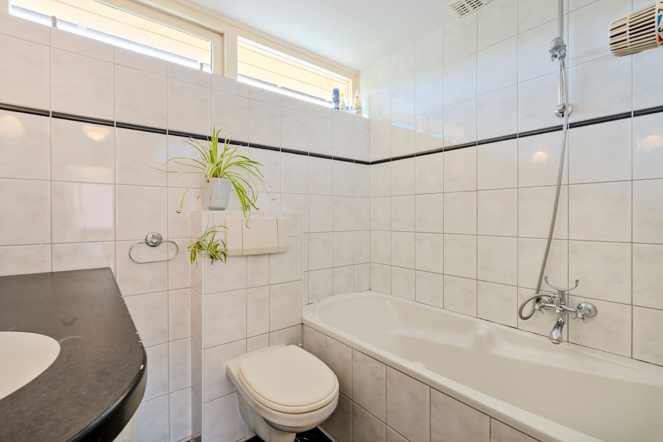 Foto 30 van Patrijs 1