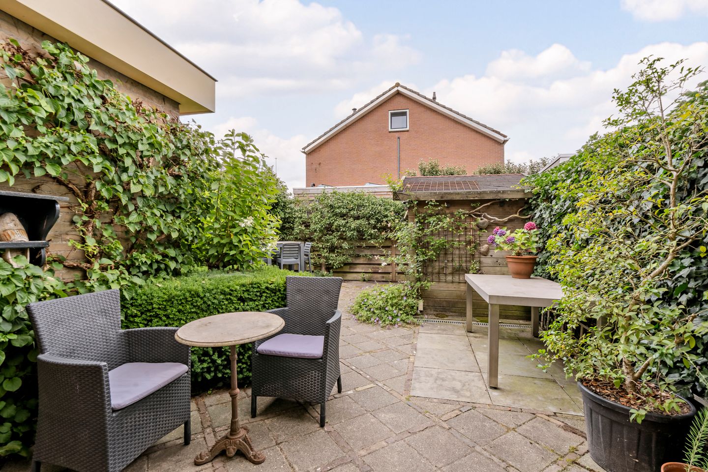 Foto 40 van Patrijs 1