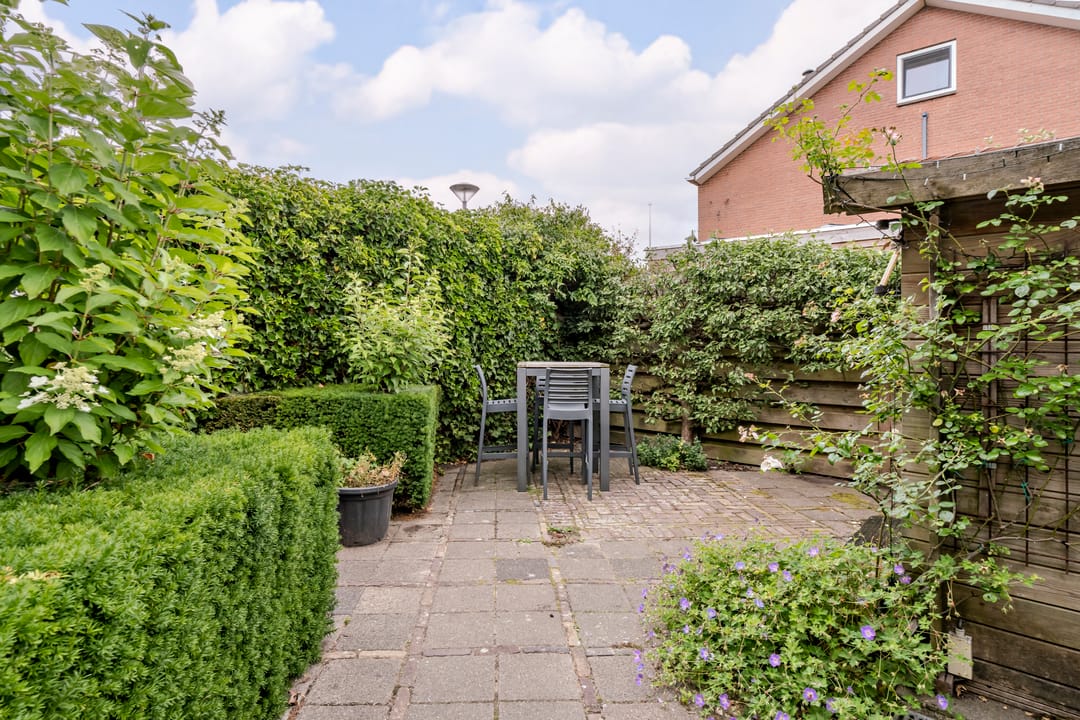 Foto 41 van Patrijs 1