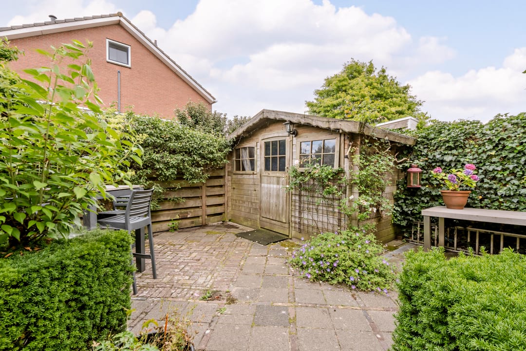 Foto 43 van Patrijs 1