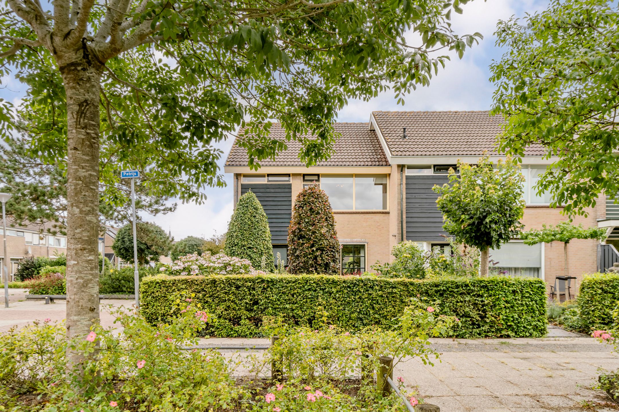 Foto 51 van Patrijs 1