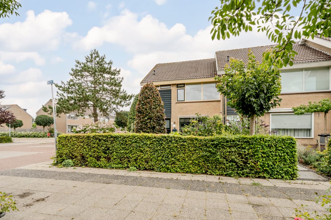 Foto 52 van Patrijs 1