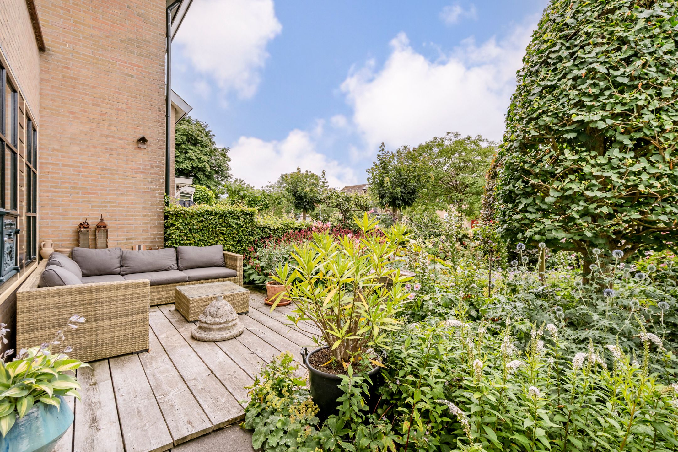 Foto 54 van Patrijs 1