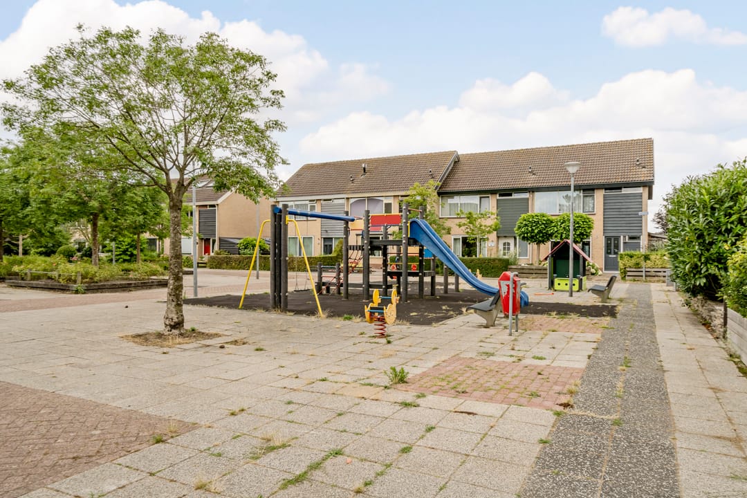 Foto 58 van Patrijs 1