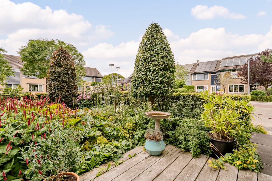 Foto 56 van Patrijs 1