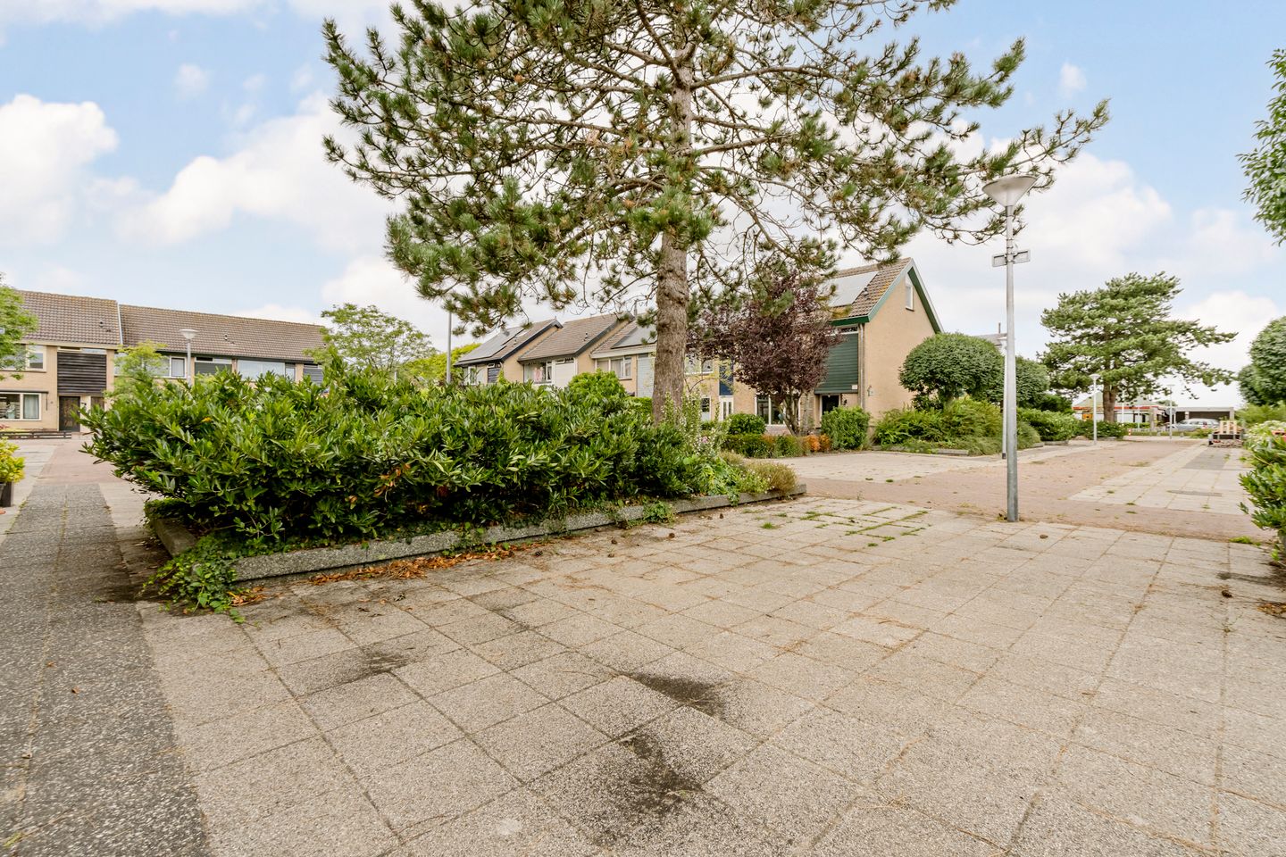 Foto 59 van Patrijs 1