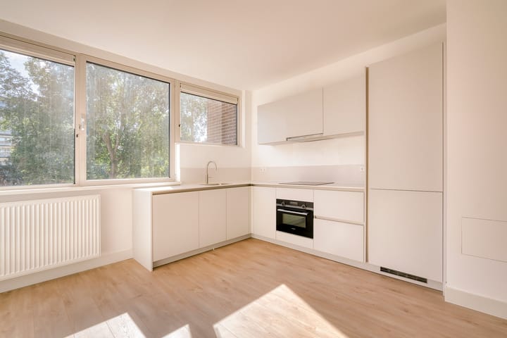 Foto 4 van Laan van Parijs 62