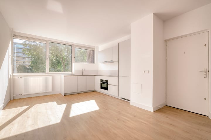 Foto 5 van Laan van Parijs 62