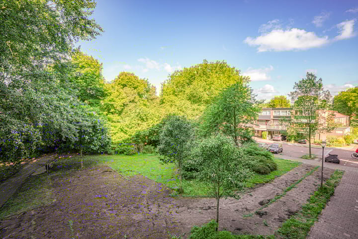 Foto 14 van Laan van Parijs 62