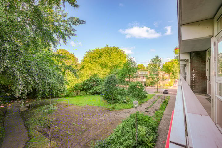 Foto 15 van Laan van Parijs 62