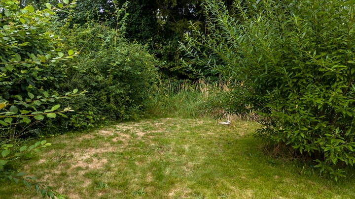 Foto 26 van Romeinenstraat 48