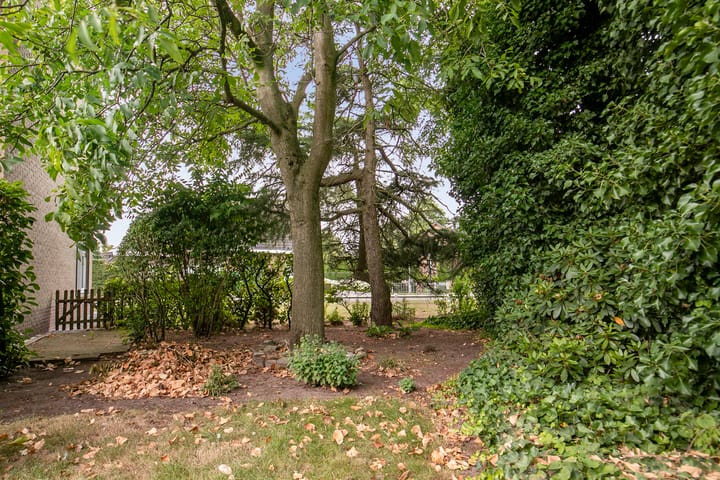 Foto 5 van Ellestraat 1