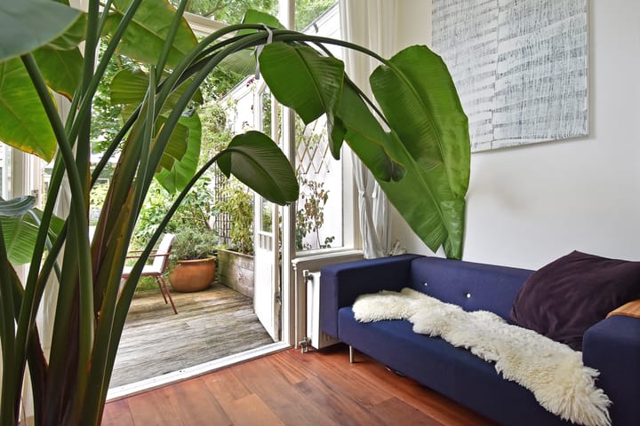 Foto 12 van Copernicusstraat 131