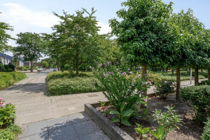 Foto 4 van Bouvigne 17