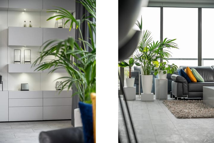 Photo 6 of Oppert 270