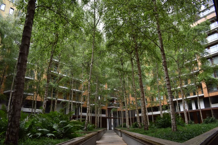 Photo 36 of Oppert 270