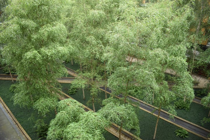 Photo 37 of Oppert 270