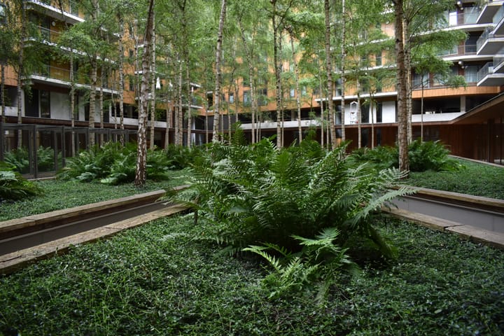 Photo 38 of Oppert 270