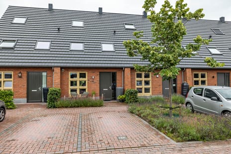 undefined main image