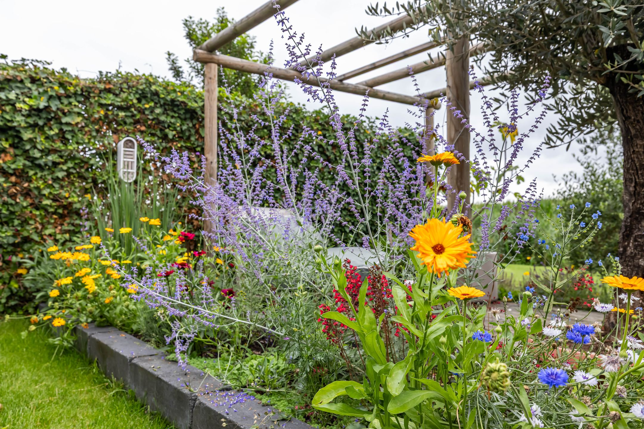 Foto 36 van Hoofdweg 13-F