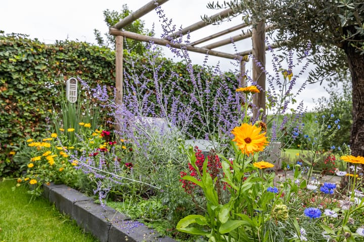 Photo 36 of Hoofdweg 13-F